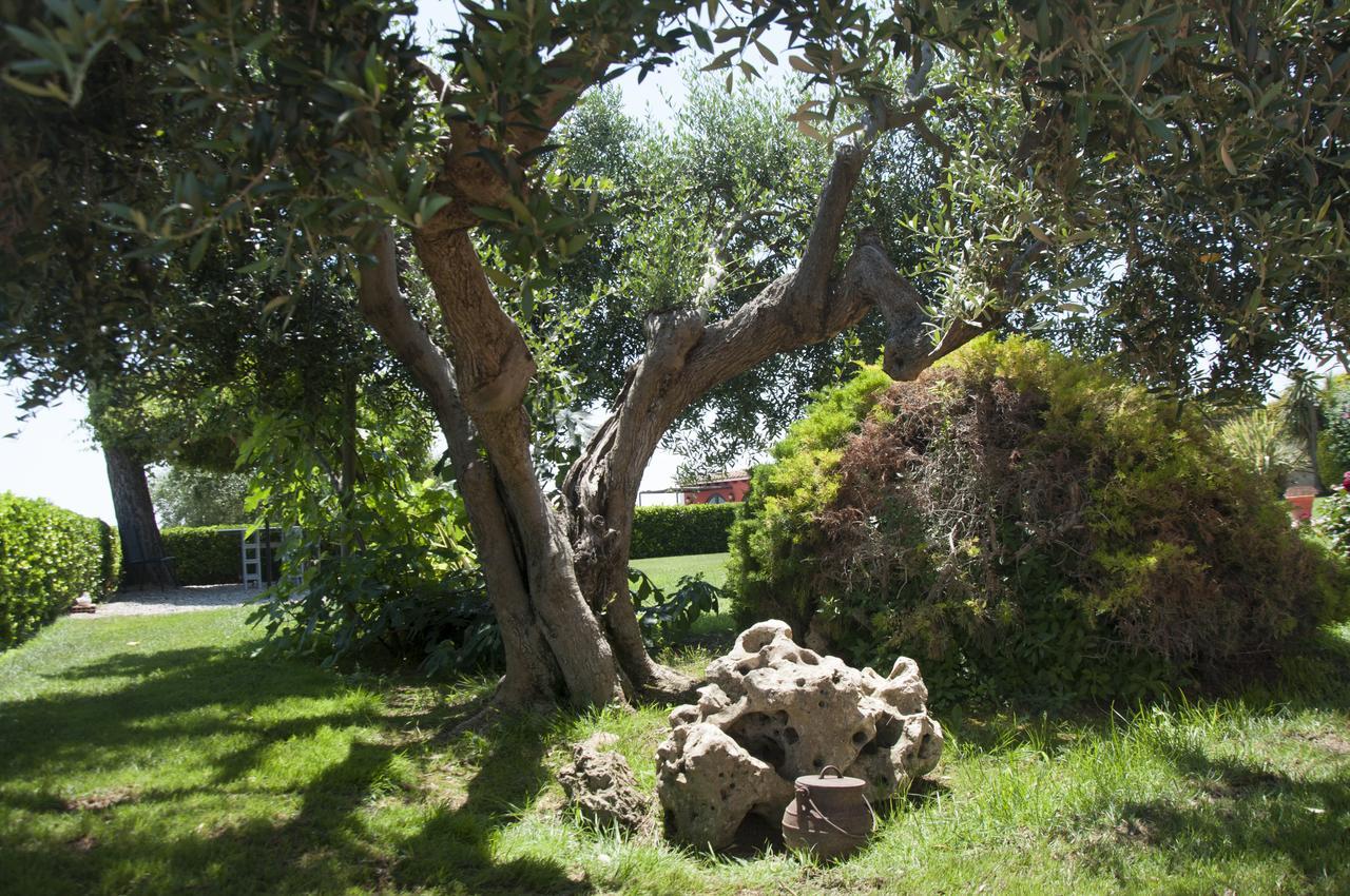 Hotel Rural Cal Ruget Vilobi Del Penedes Экстерьер фото